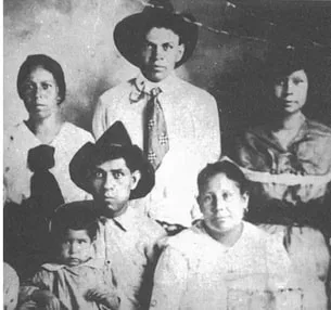 Image description