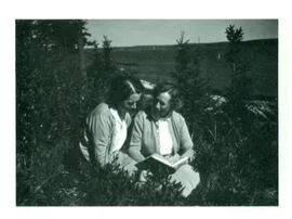 Image description
